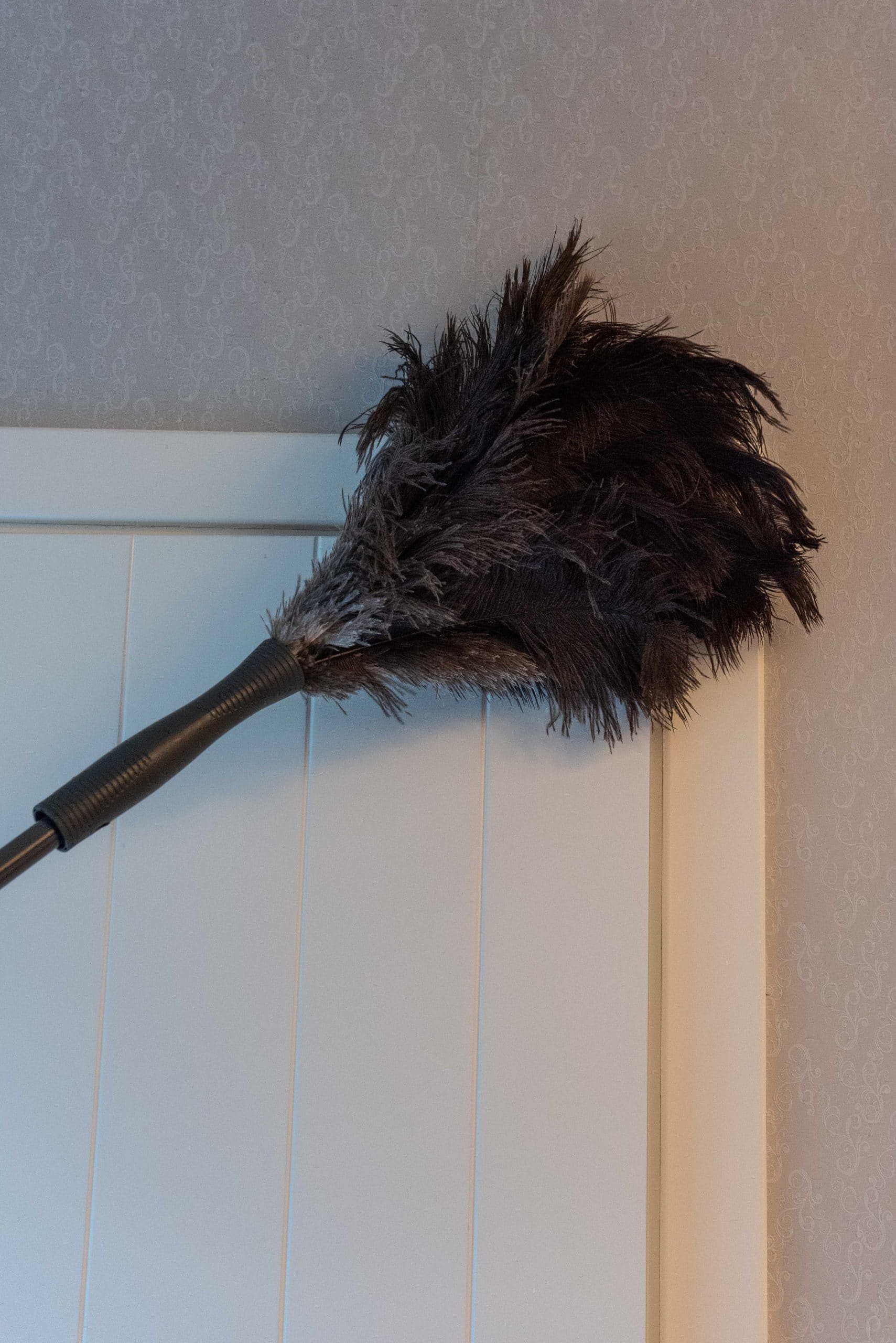 RDI Premium Black Ostrich Feather Duster - 20
